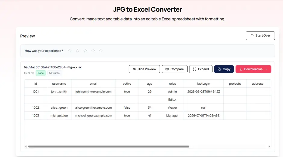 JPG to Excel converter preview showing extracted table data