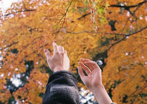 KANSAI PICKS: September 2024