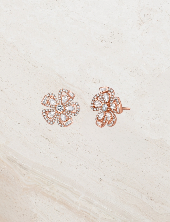 Forever Rose Collection