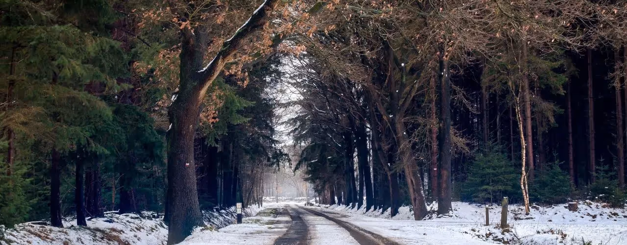 Vehicle Safety Tips For Driving In Ever-Changing Conditions