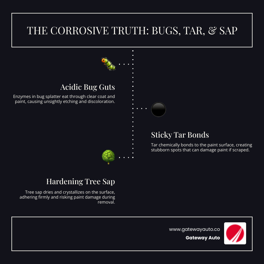 infographic showing cross-section of car paint layers with bug residue eating through clear coat and acidic enzymes breaking down paint, plus tar bonding to paint surface and sap crystallizing - Bug and tar removal infographic infographic-line-3-steps-dark
