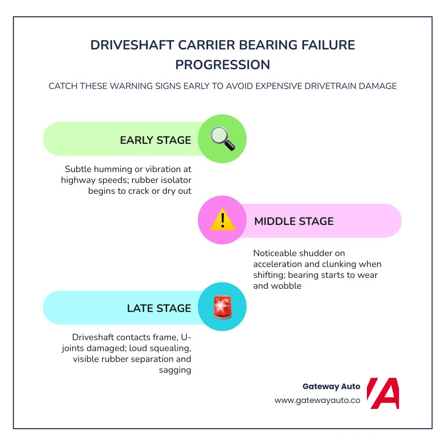 Infographic showing 7 driveshaft carrier bearing symptoms with descriptions of vibration, noise, and visual signs infographic