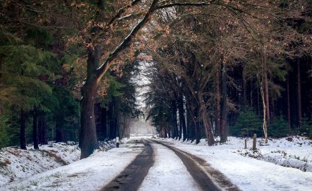 Winter road with tire tracks through a snowy forest