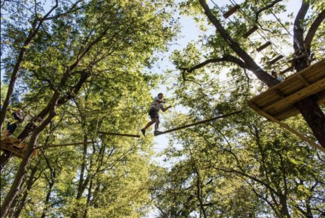 Person on a treetop ropes course at Mahoney State Park