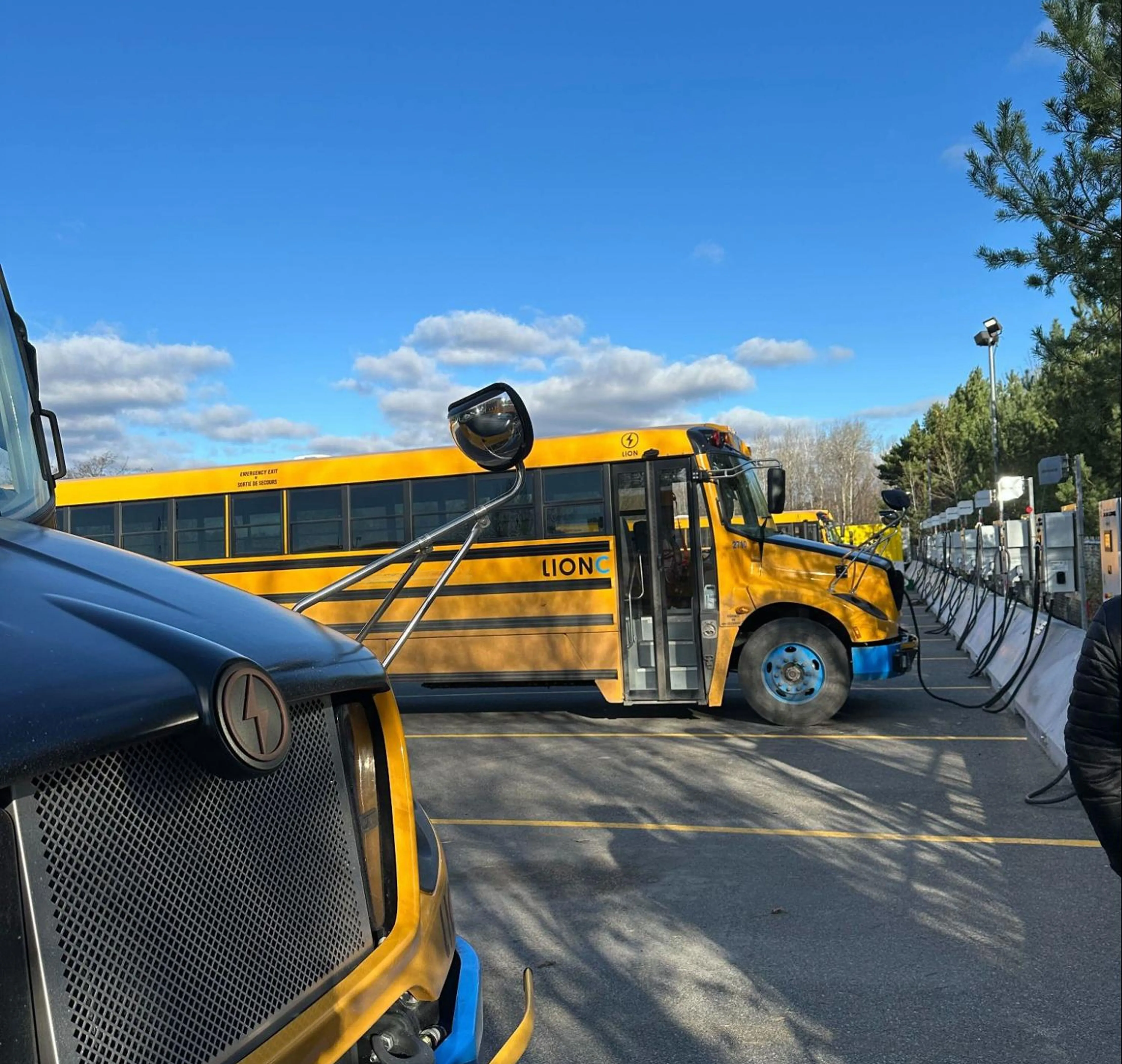Multiple yellow Lion electric school buses parked and connected to charging stations under a clear blue sky.
