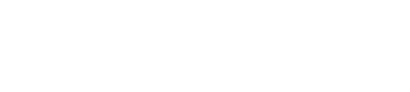 Knight Transportation logo