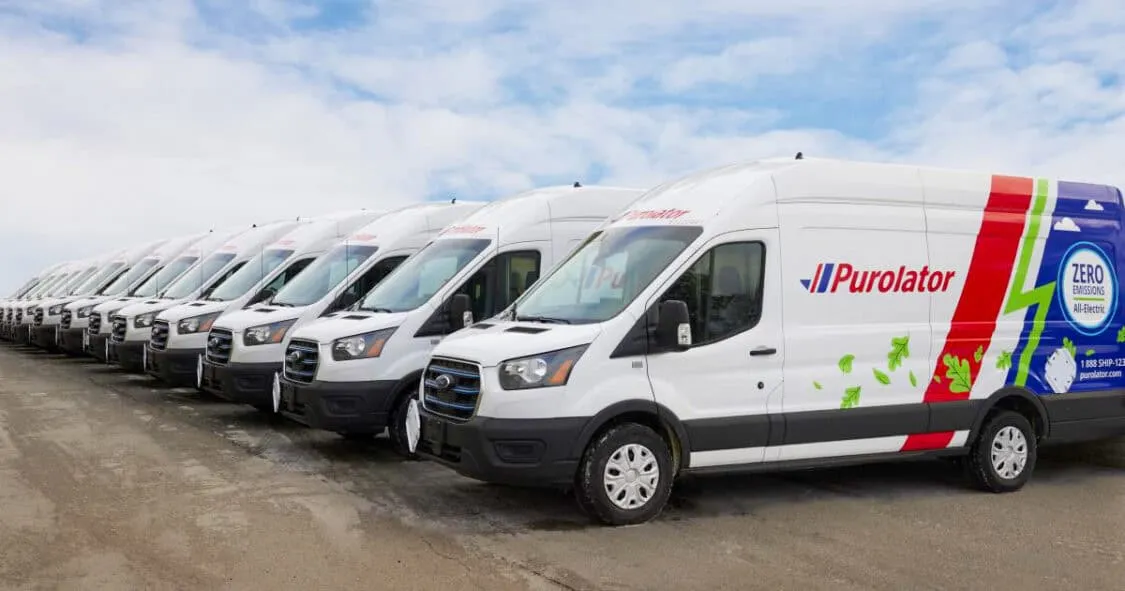 Row of white Purolator delivery vans with green leaf graphics and zero emissions branding