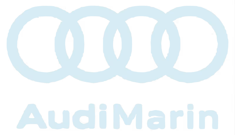 Logo of Flipturn customer Audi Marin