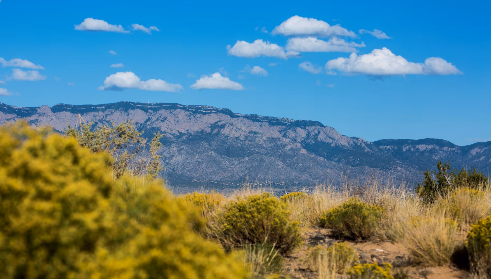 Sandia mountains