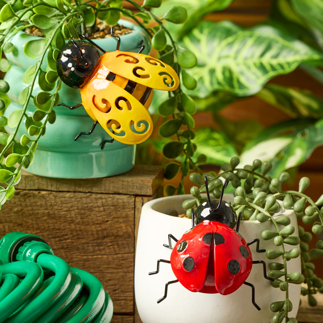 Add a Pop of Colour to Your Garden at The Reject Shop