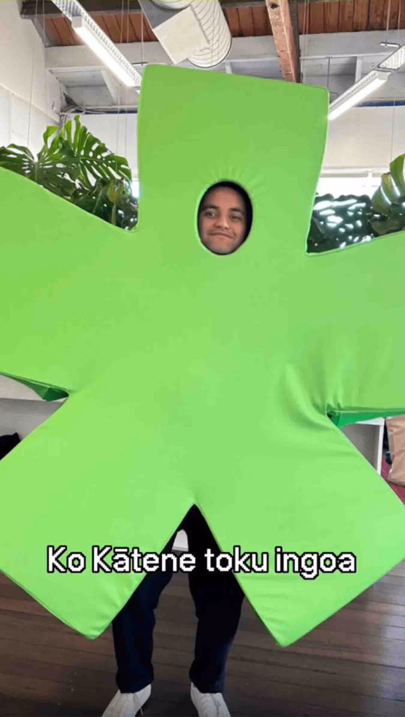 A person smiling with their face poking through a giant green asterisk costume, with the caption 'Ko Kātene toku ingoa' (My name is Kātene).