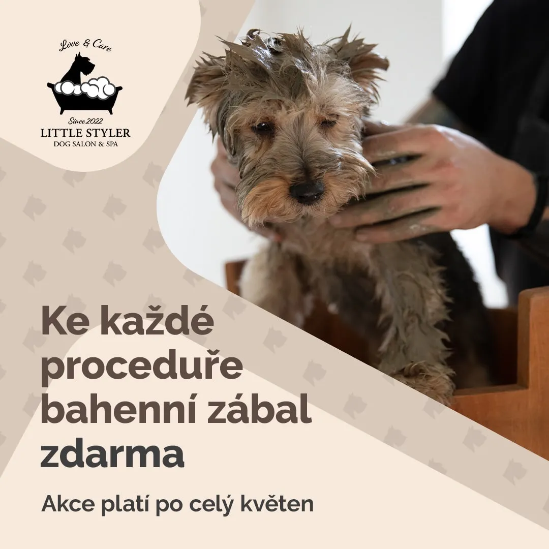 Little Styler banner