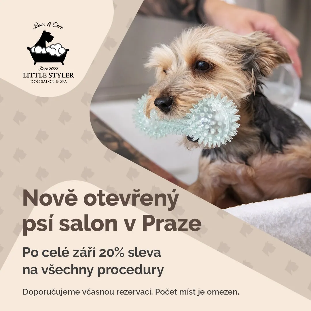 Little Styler banner