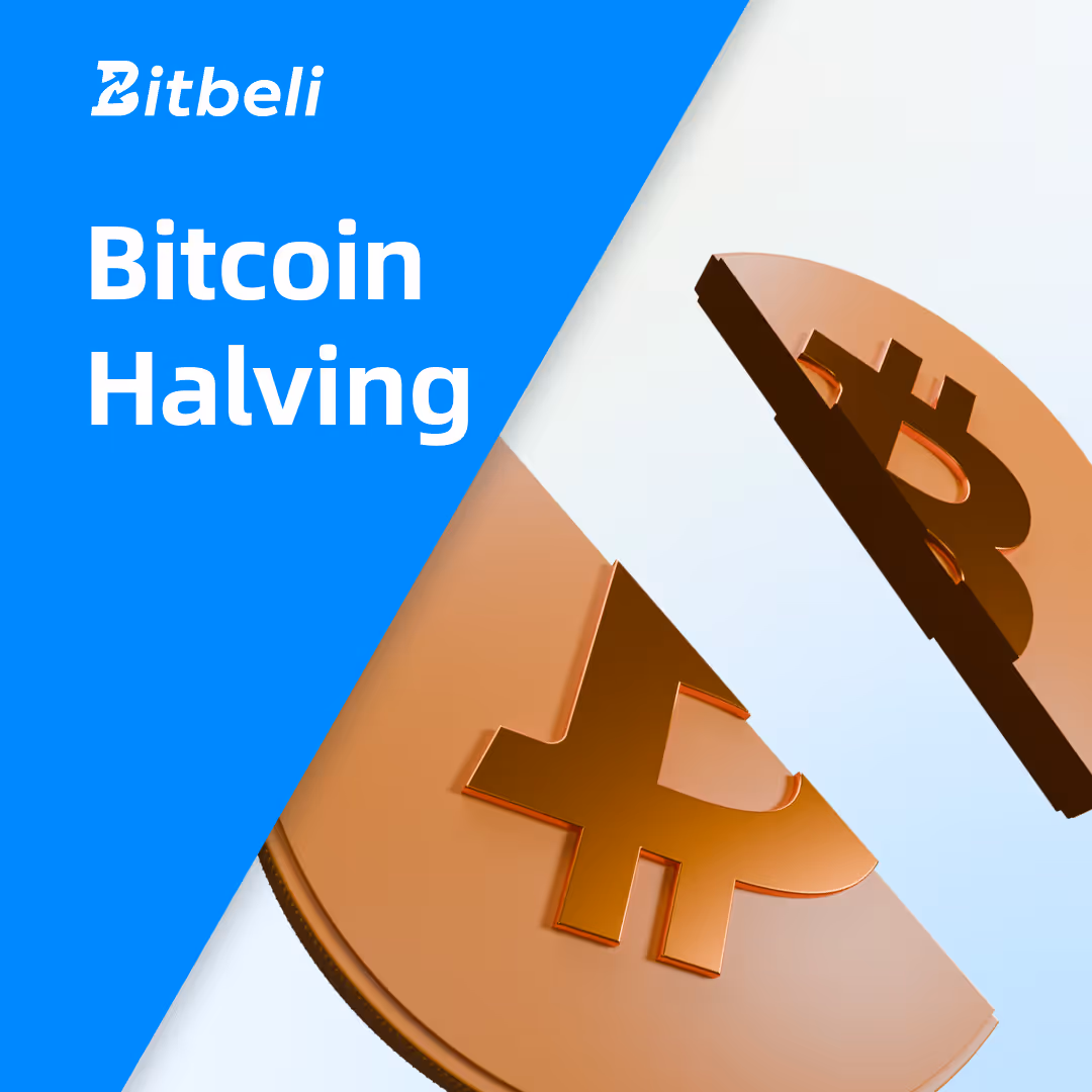 Little Styler banner