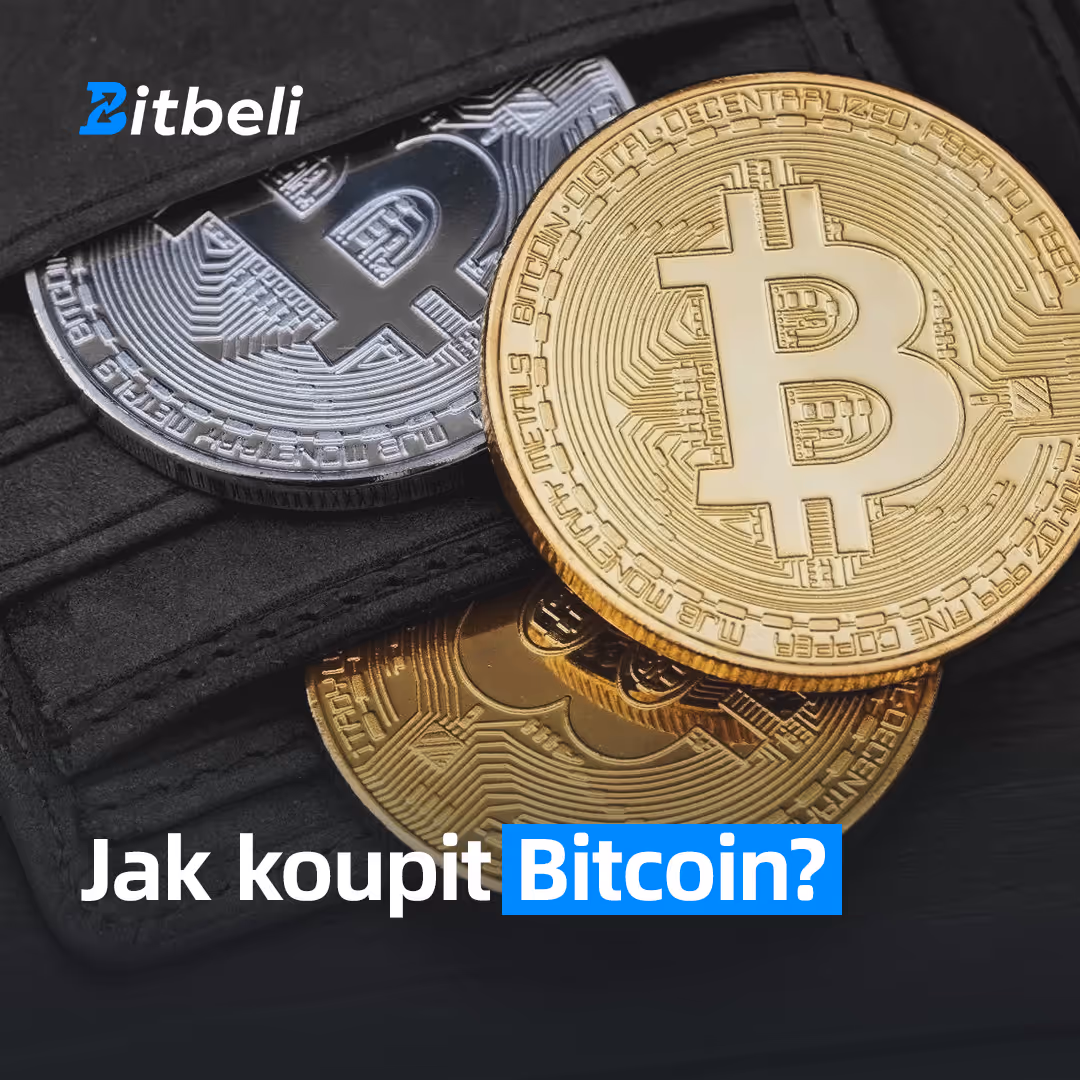 Little Styler banner