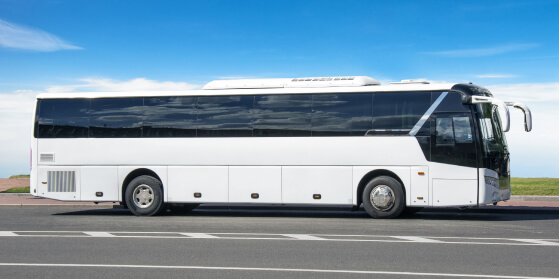 Image of a white bus