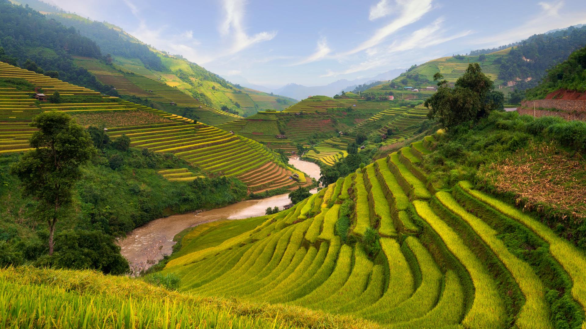 Vibrant green rice terraces cascading down mountain slopes with a winding river flowing through the valley under a blue sky with wispy clouds