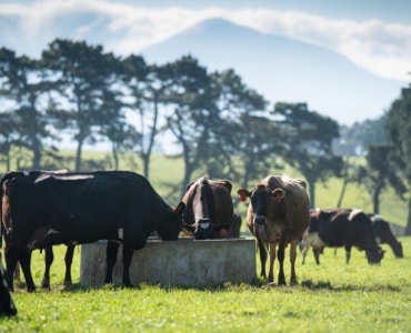 Fonterra