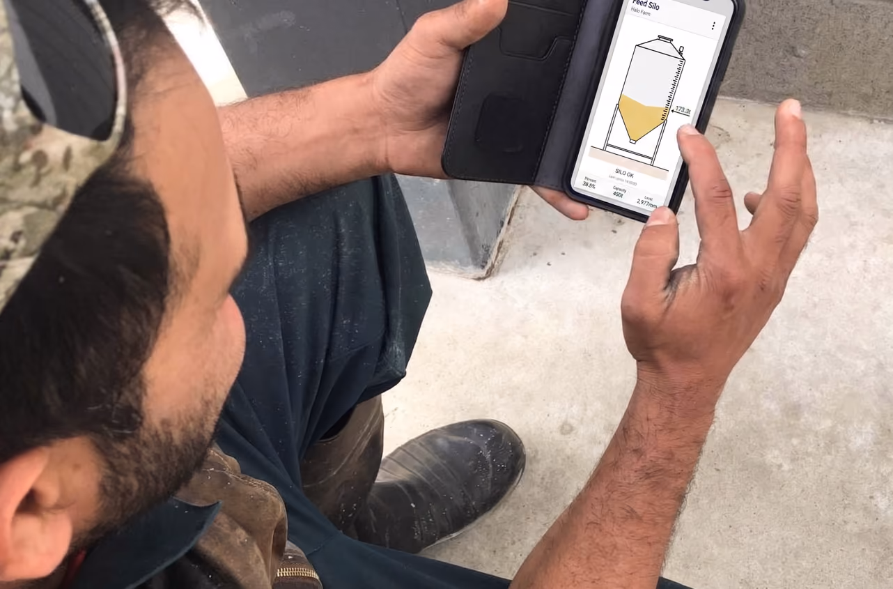 Person holding phone showing silo feed level app with grain fill status and measurements.