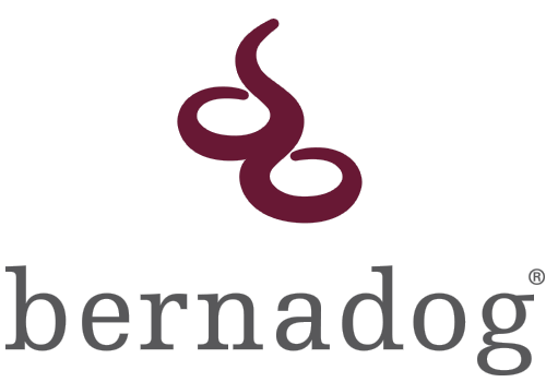 bernadog immobilien ag