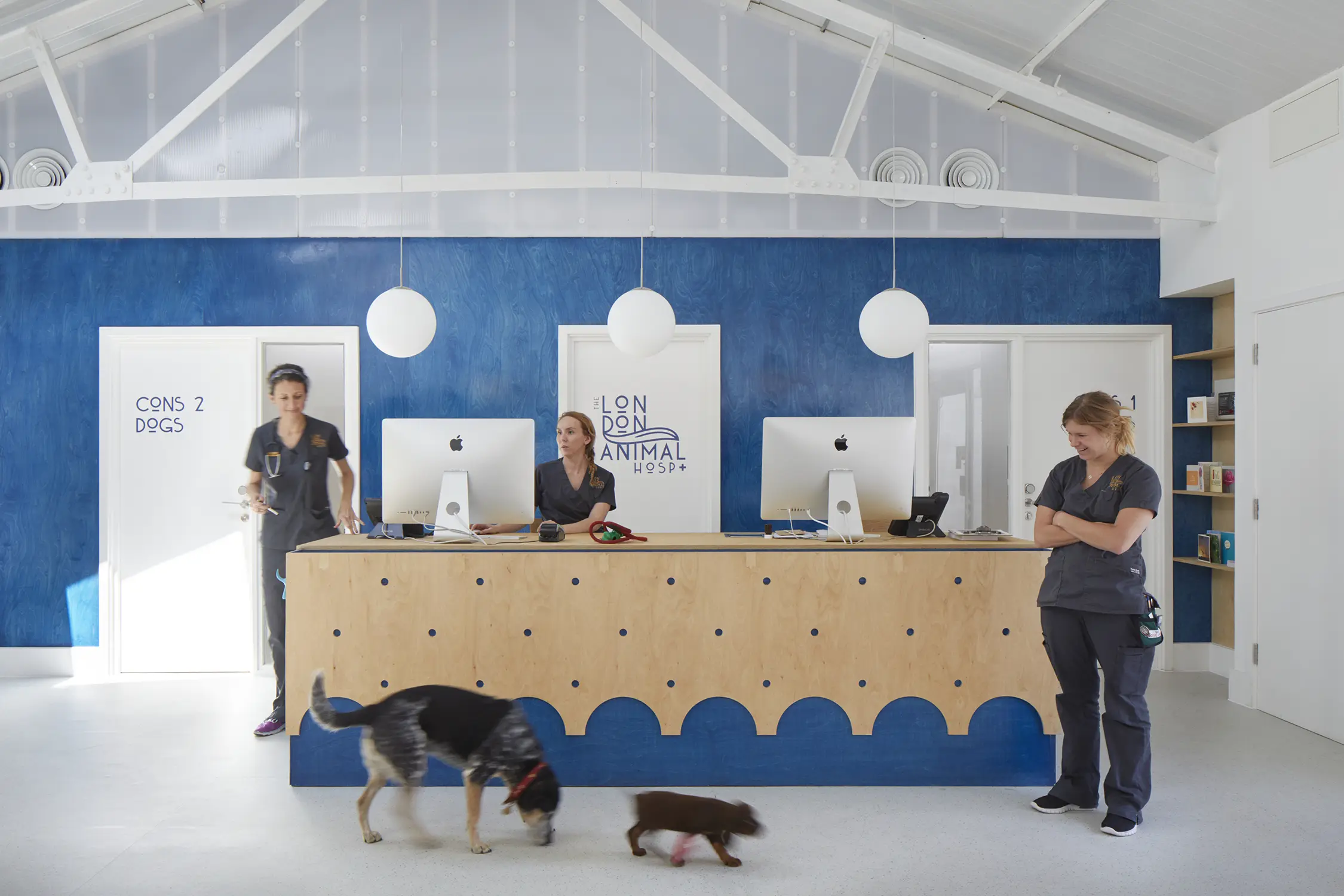 Alma-nac Collaborative Architecture — The London Animal Hospital