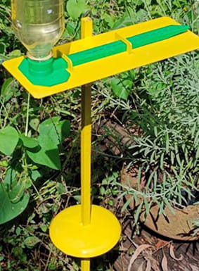 Pollen and nectar feeding stand outdoor