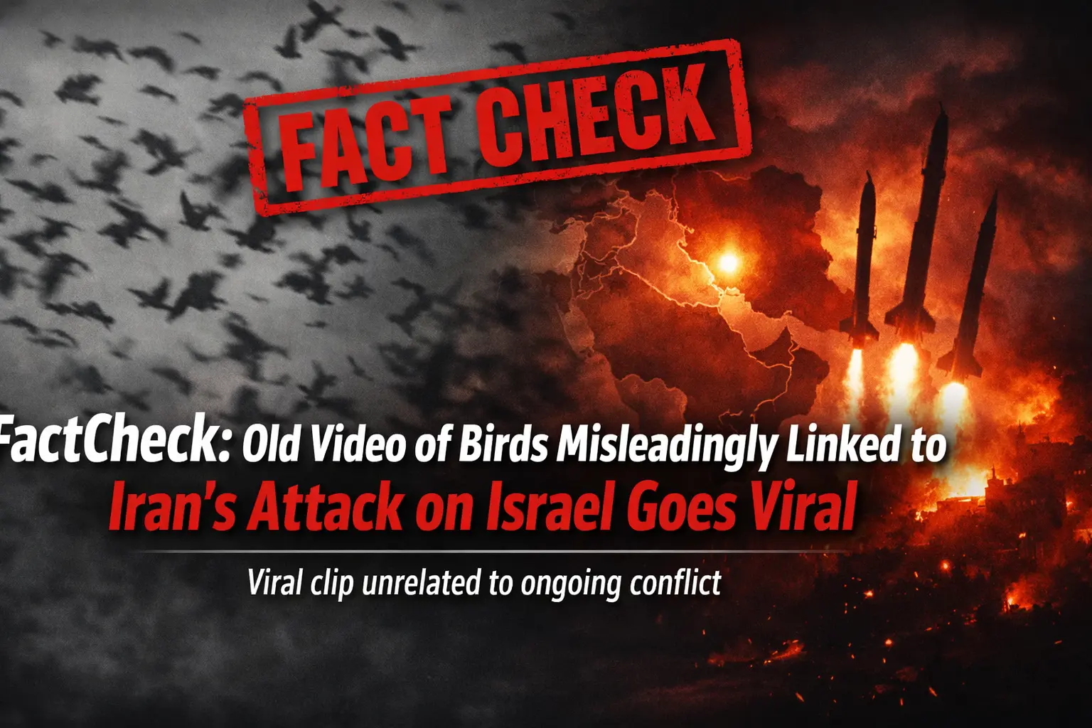 #FactCheck : Old Video of Birds Misleadingly Linked to Iran’s Attack on Israel Goes Viral