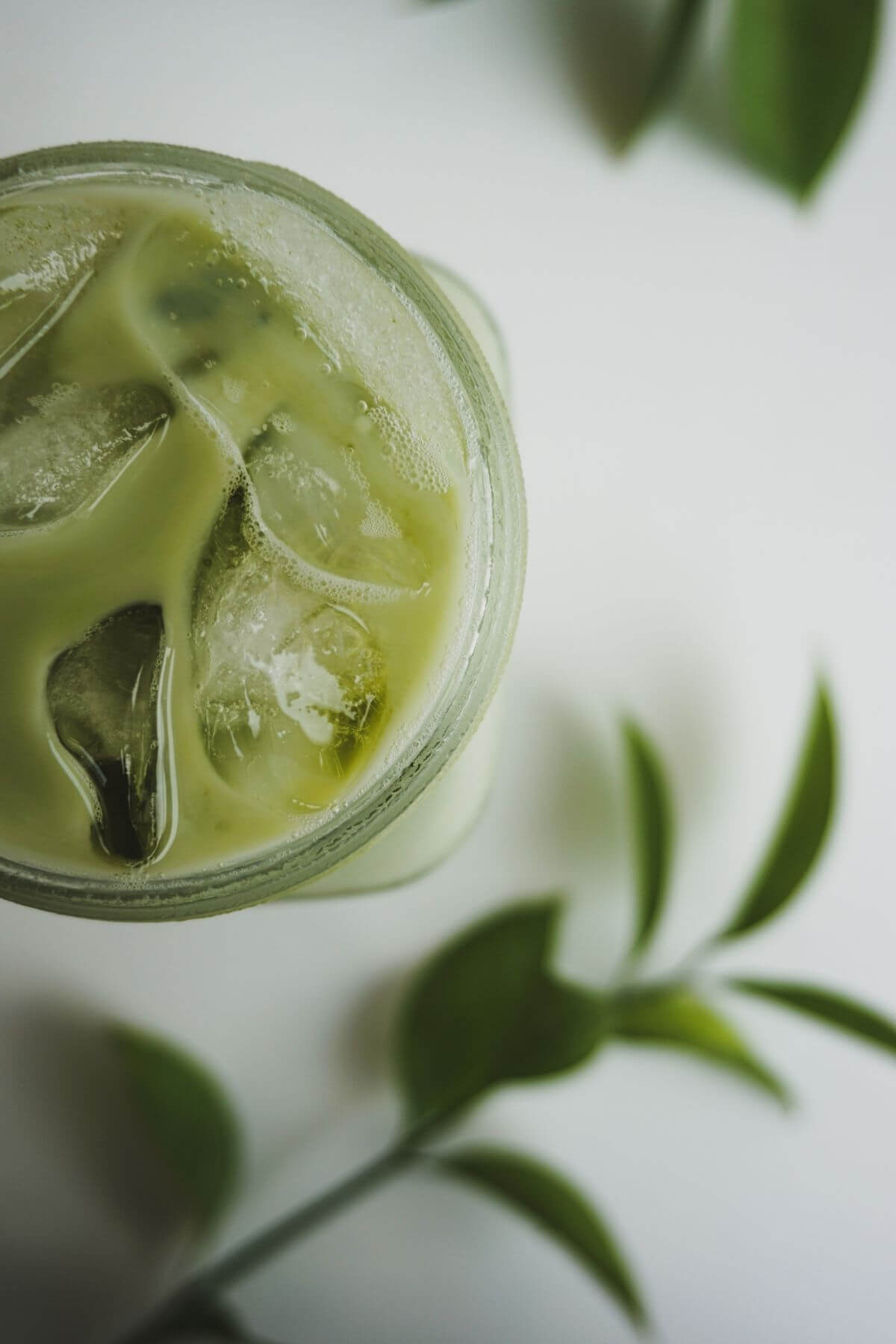 Close up view of an iced drink and some leaves.