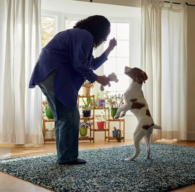 Woman playing with her pet dog in her apartment