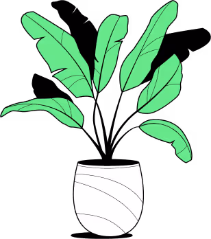 an illustration of a green plant in a white vase