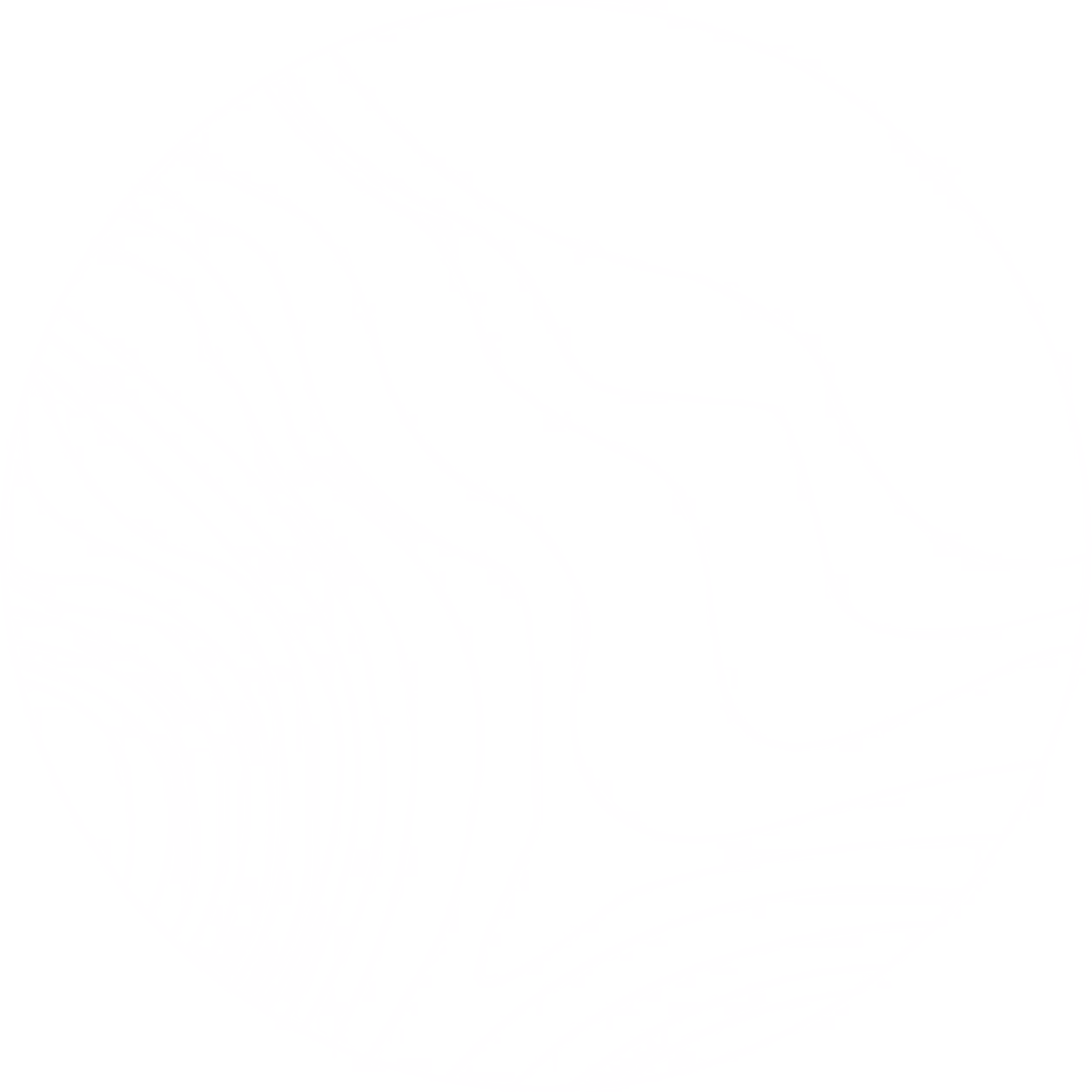 Branches Mission Lab white background logo