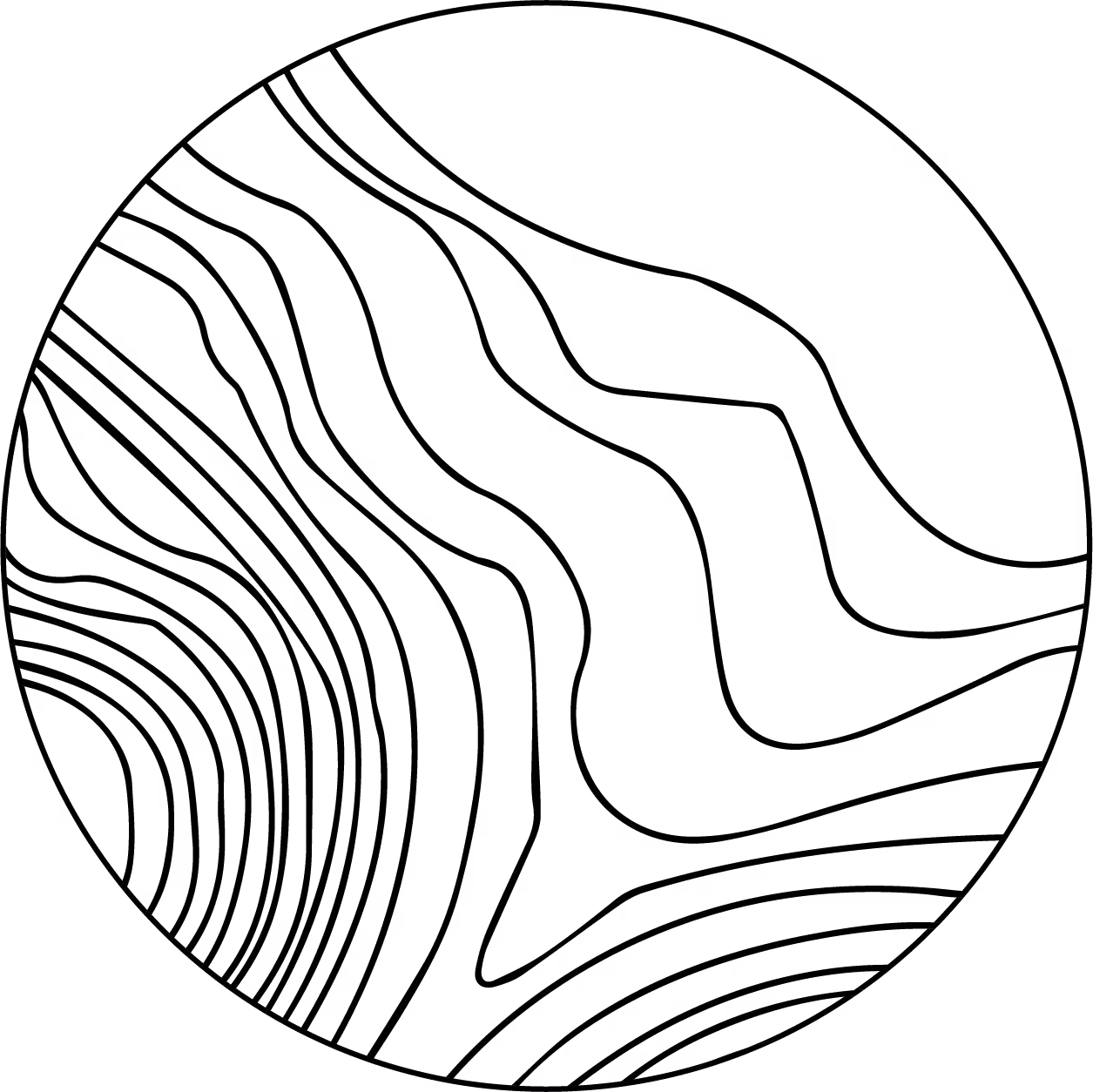 Branches Mission Lab black background logo