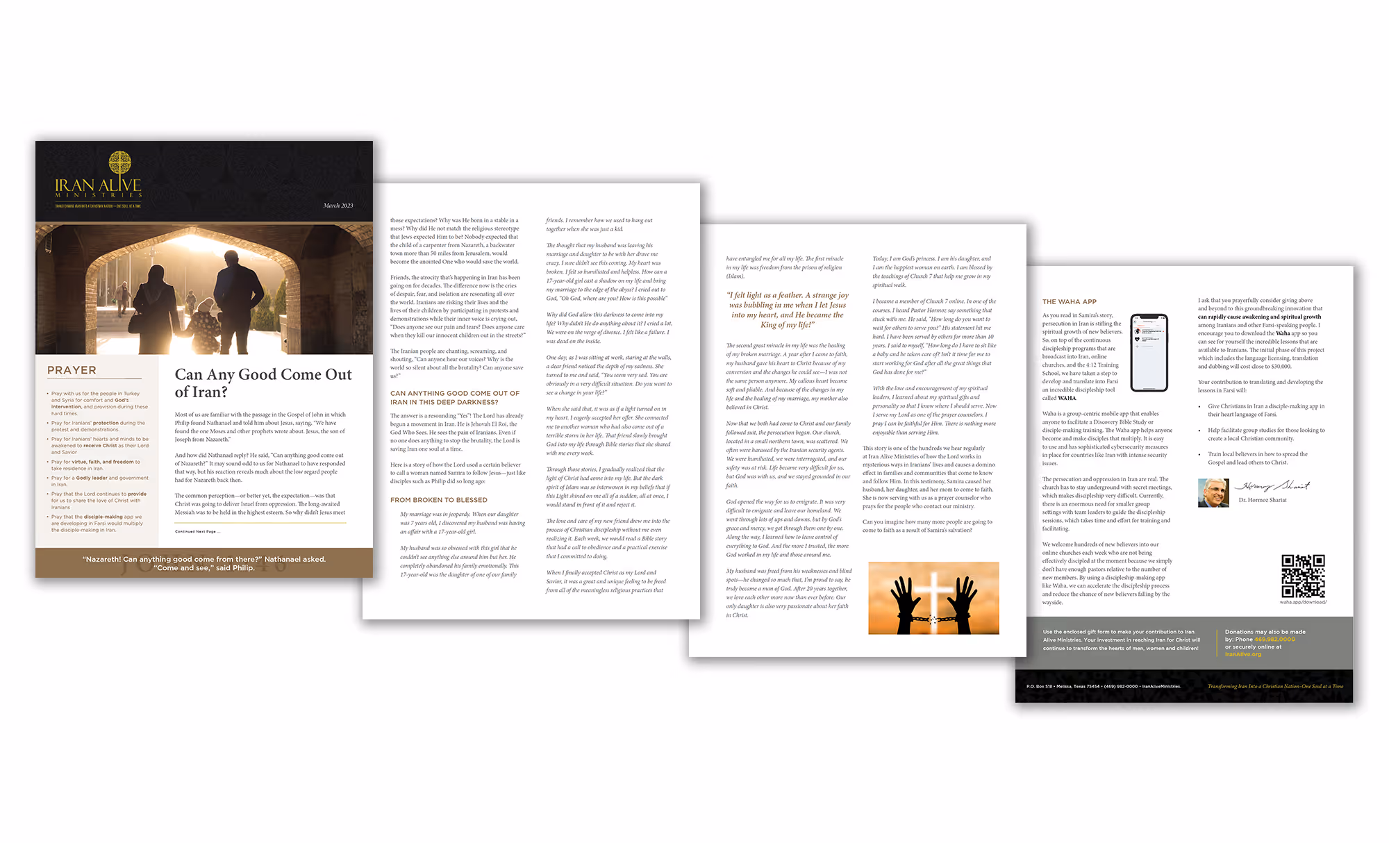 Portfolio gallery layout for campaign