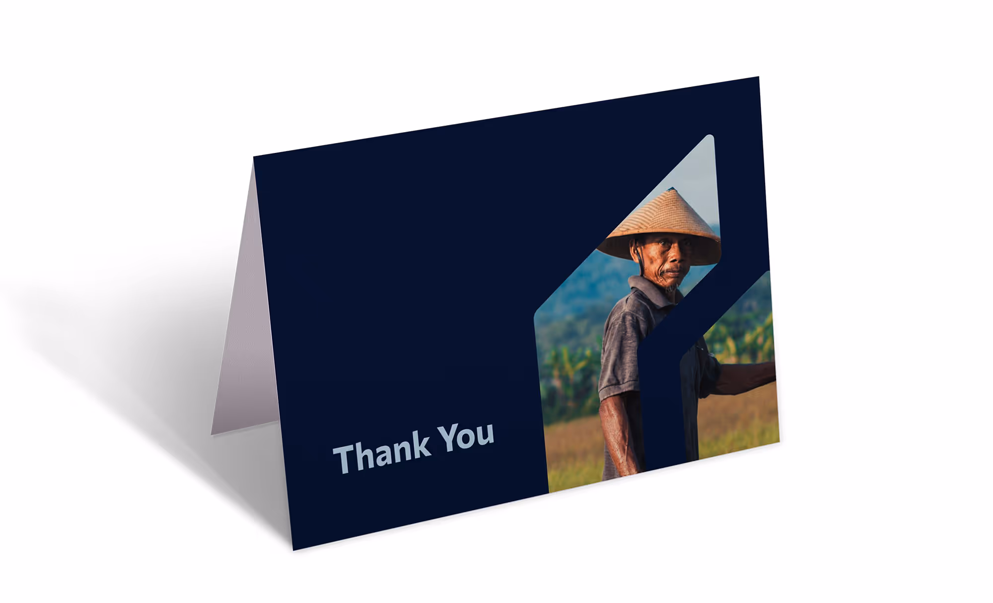 Global serve international background image