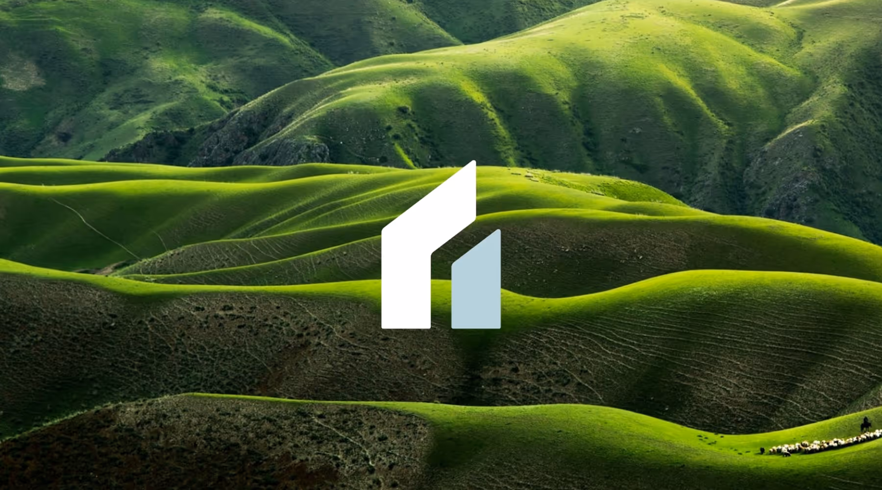 Brand Messaging & Visual Identity for GSI