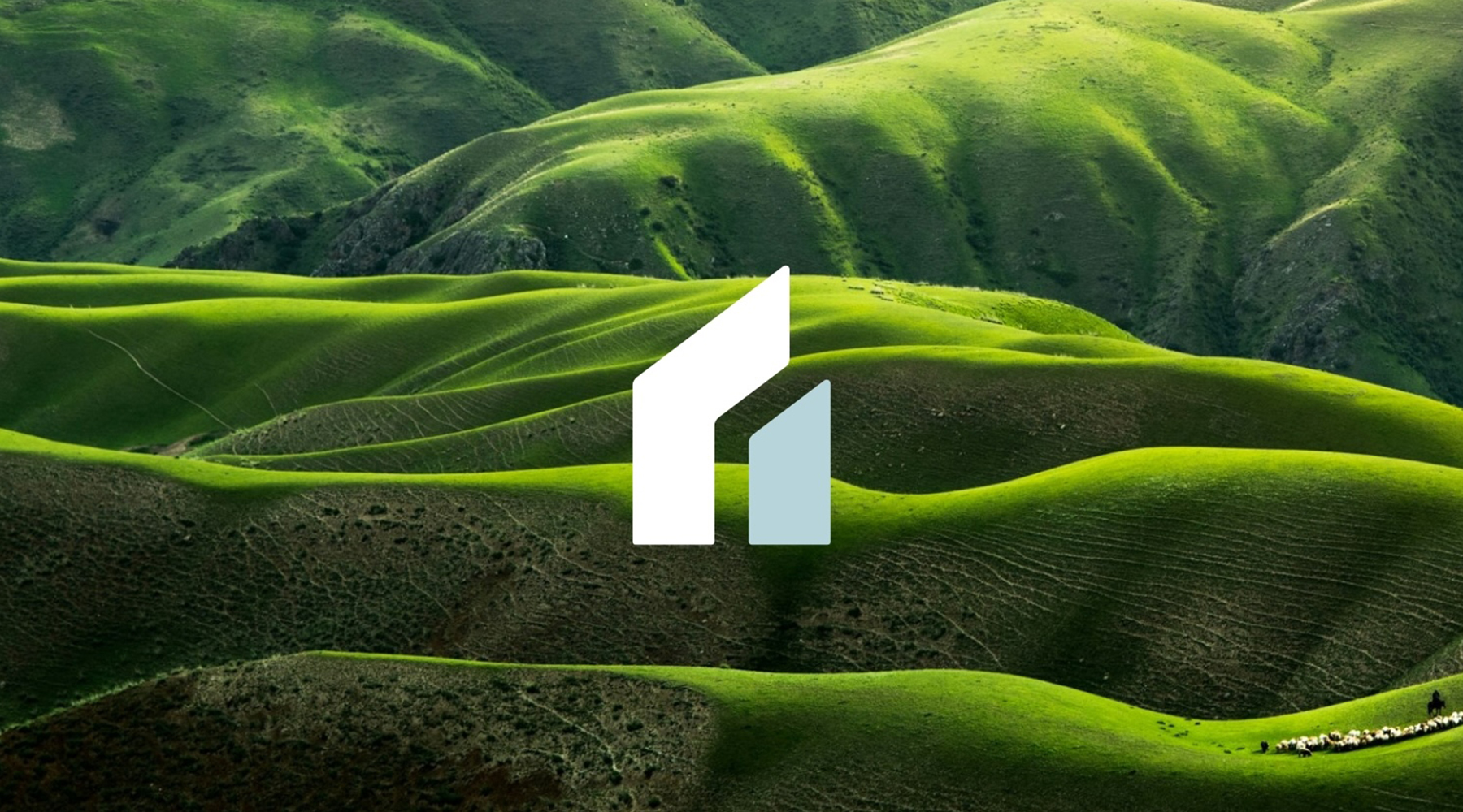 Global Serve International