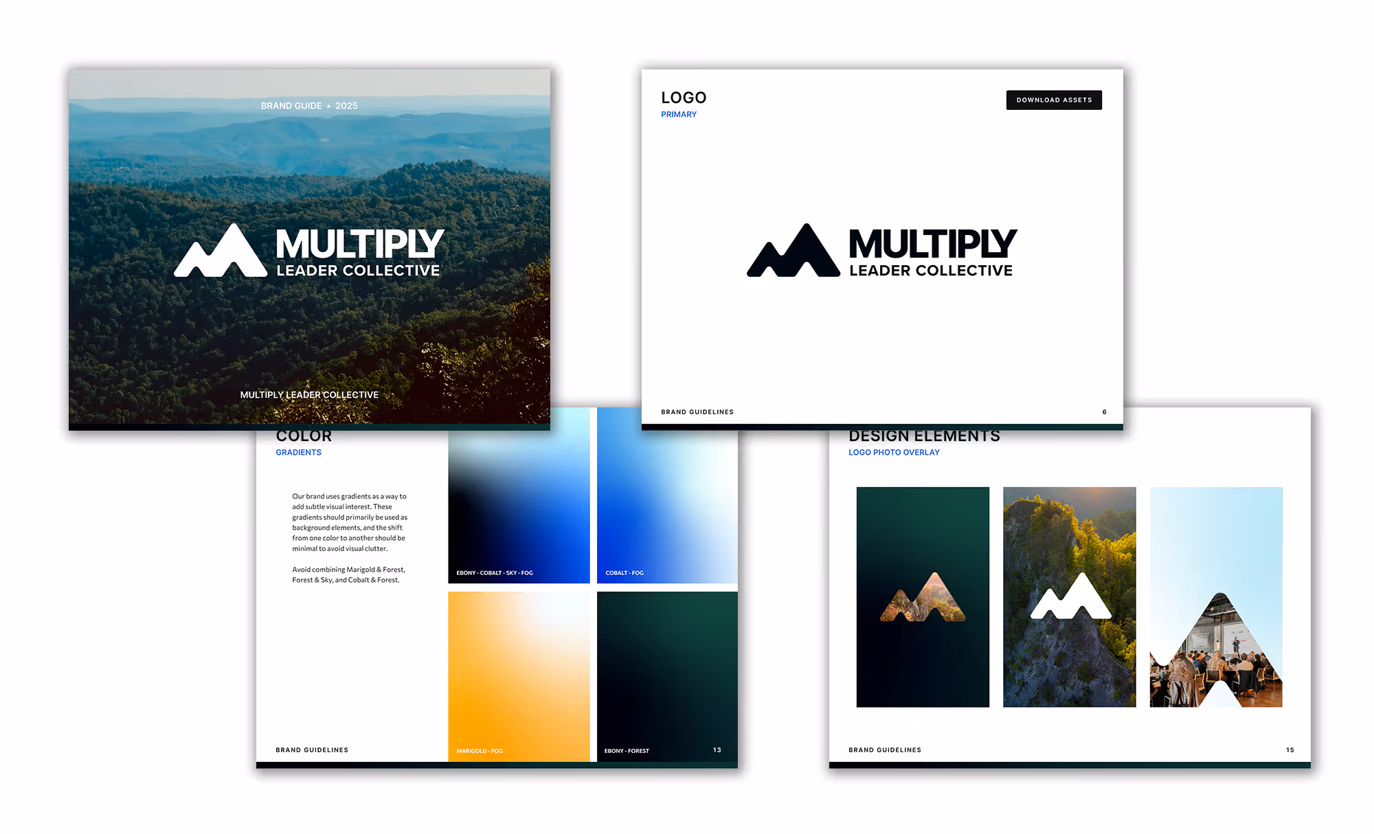 Multiply Leader Collective app overview