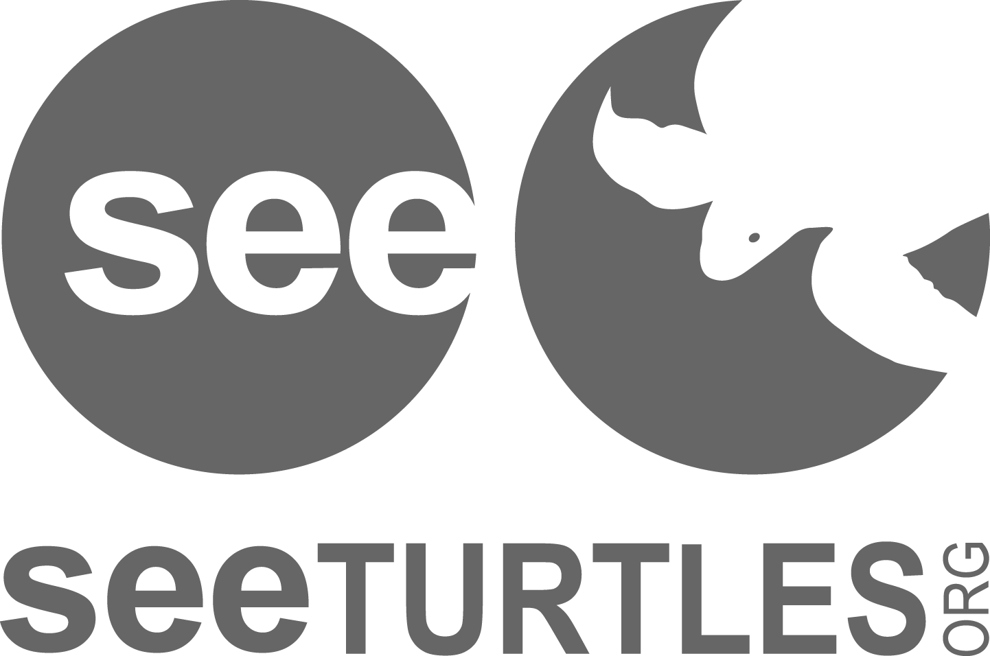 SeeTurtles