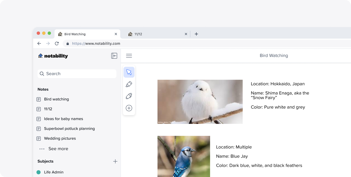 A close-up shot of the library and tool bar in the Notability web app.