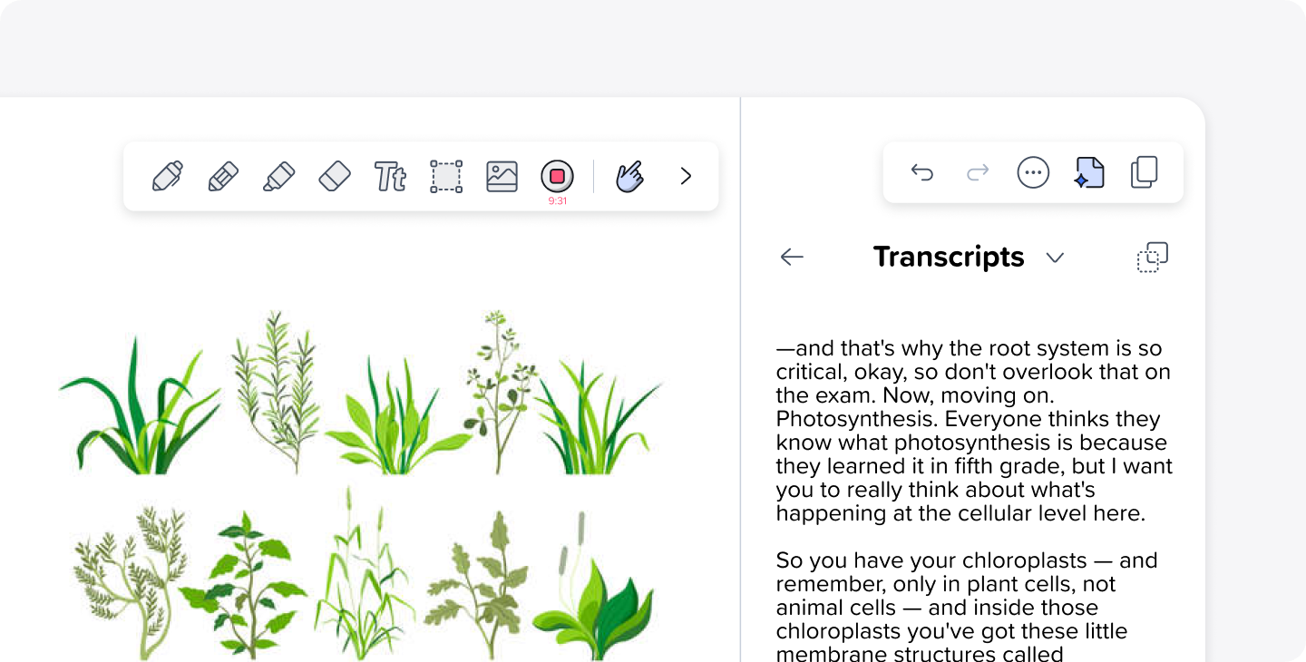 A close-up shot of the Audio Recording and Live Transcripts feature in Notability, which allows users to record a lecture or meeting and generate a live transcript of the audio, all attached to a user's note.