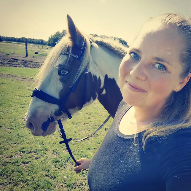 Rider or ground person... A huge, broad platform covering many areas of horse education. Love it! Something for everyone, whether you actually mount up or not!