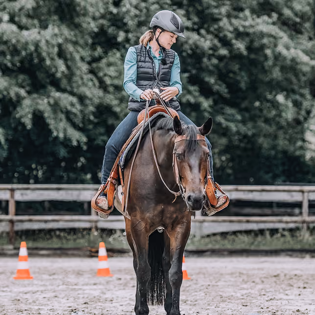 I am very satisfied with the incredible content provided. Not only that, but they are constantly improving and adding new material all the time. The content isn't limited to any one discipline, but includes everything any horseman could wish for.