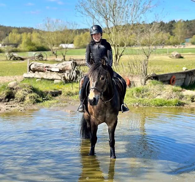 Lernen durch Nachahmen! Genau das kann man bei wehorse, denn ich bekomme bildlich gezeigt, wie richtiges Reiten aussehen soll. Die Erklärungen der Reitmeister und Reitlehrer bleiben mir im Kopf. Dazu auch immer Hilfestellungen rund um Dinge, die schiefgehen können. Ich liebe die Kurse und schaue wehorse lieber als Netflix & co.!