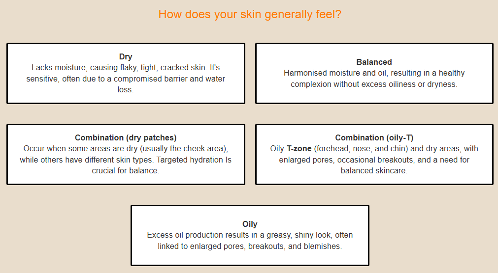 Screen shot of Skoon's skin type quiz, with the question "How does your skin generally feel?" and five options below