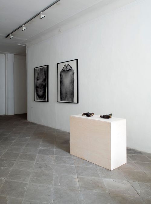 Die Kunst des Alterns