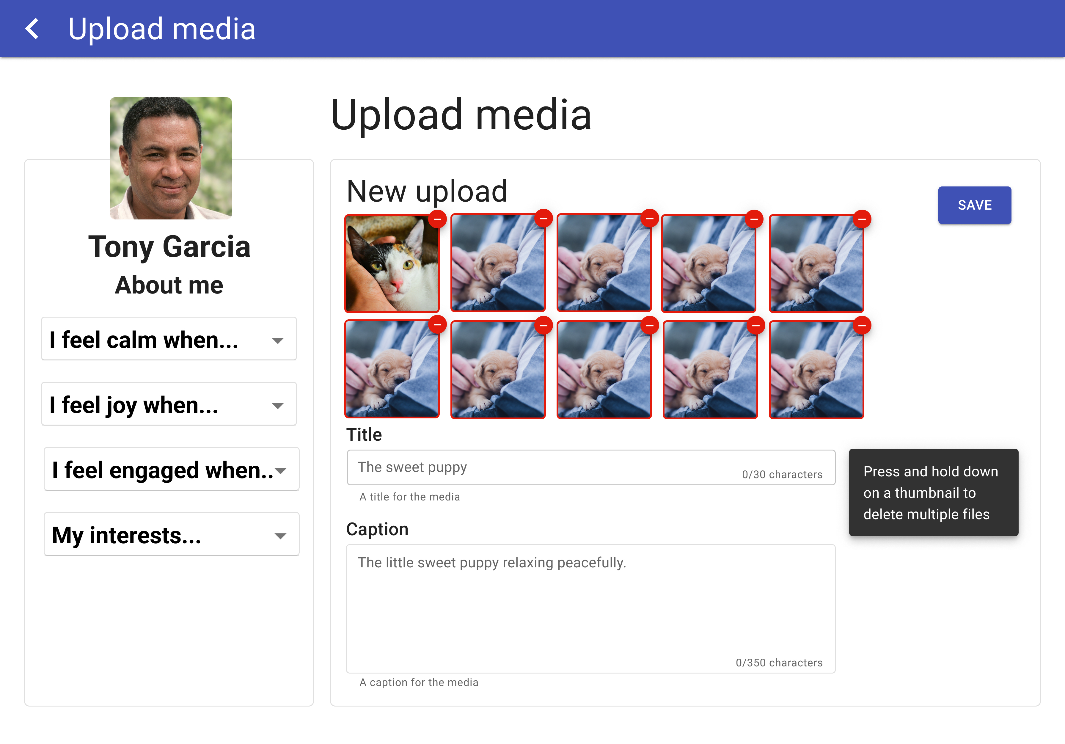 Add multiple images at once