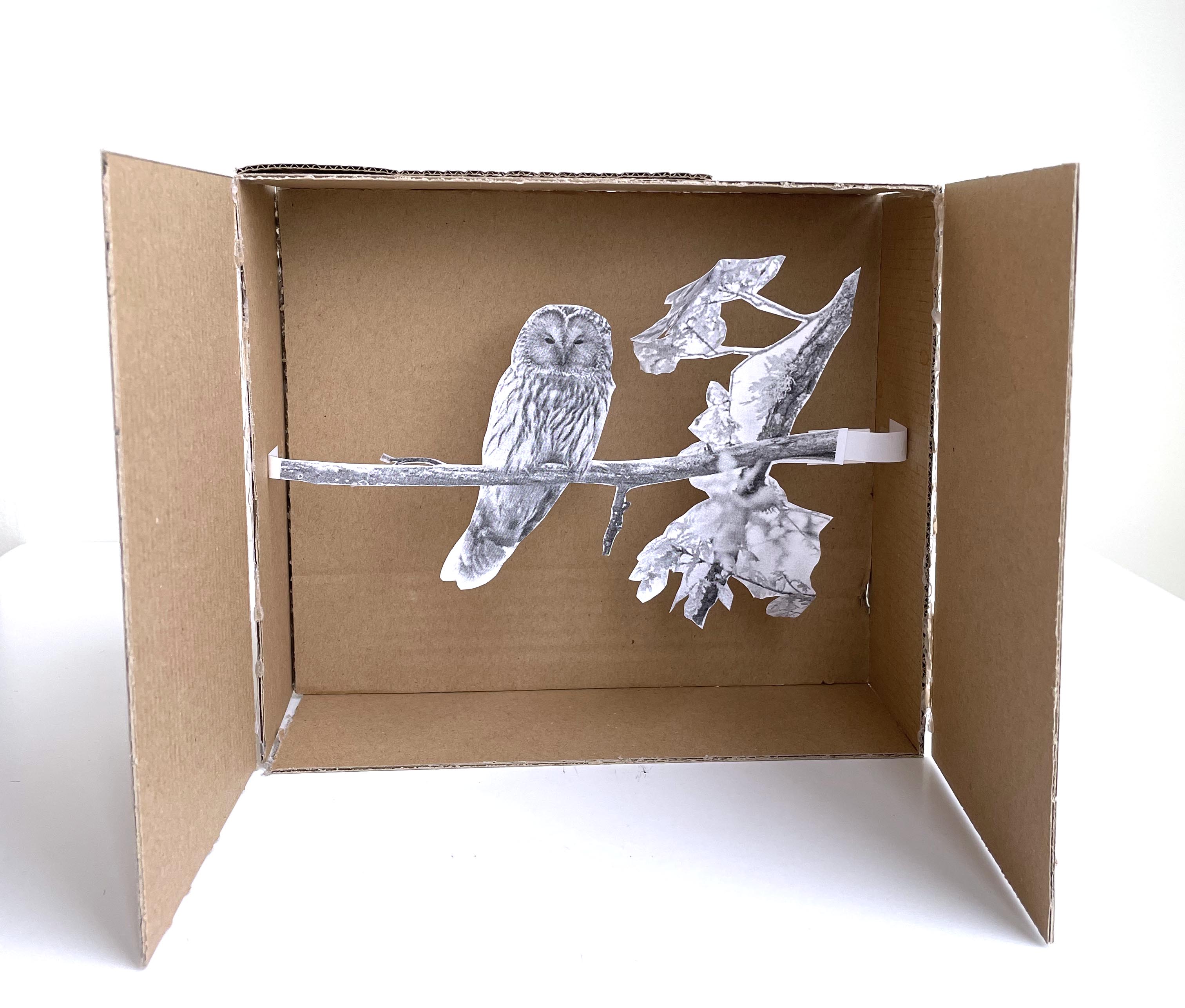 Cardboard prototype of box