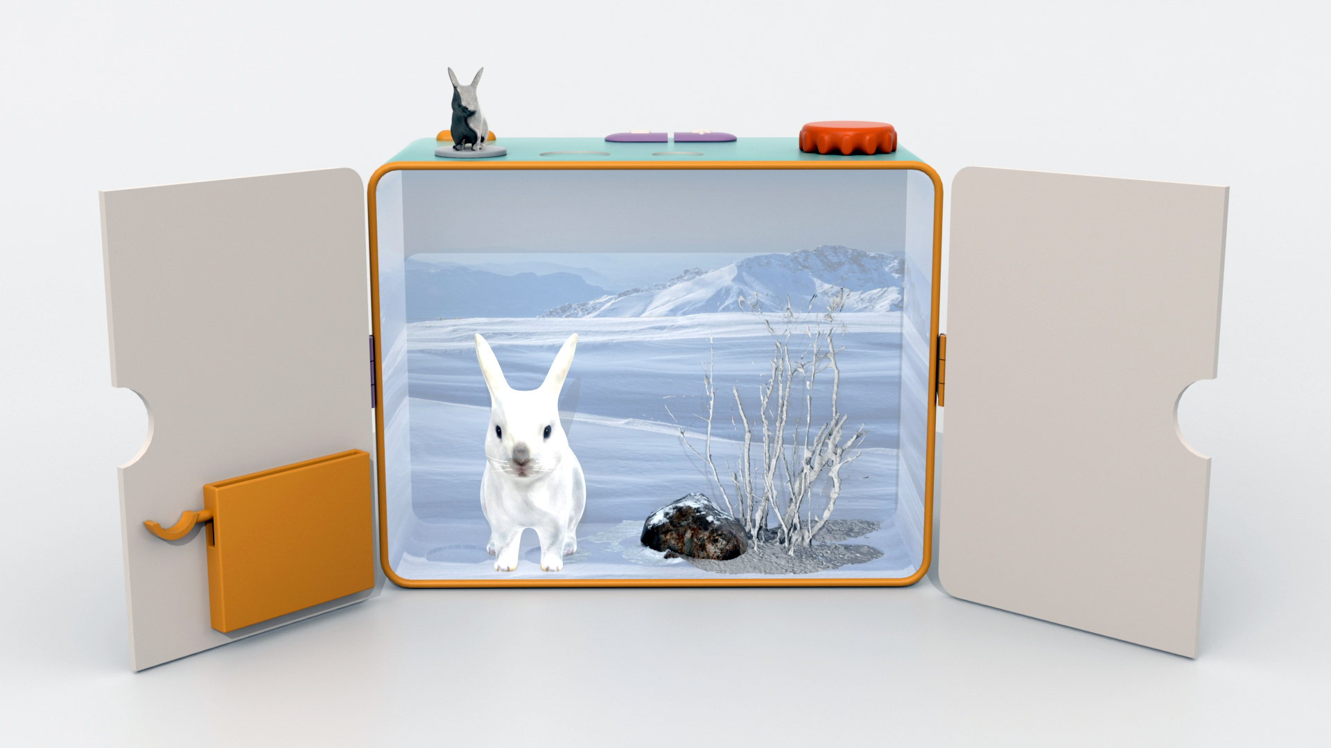 Hare inside play box