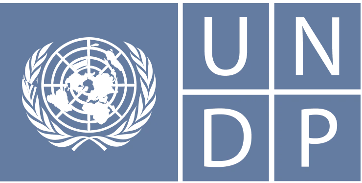 Client logo: UNDP