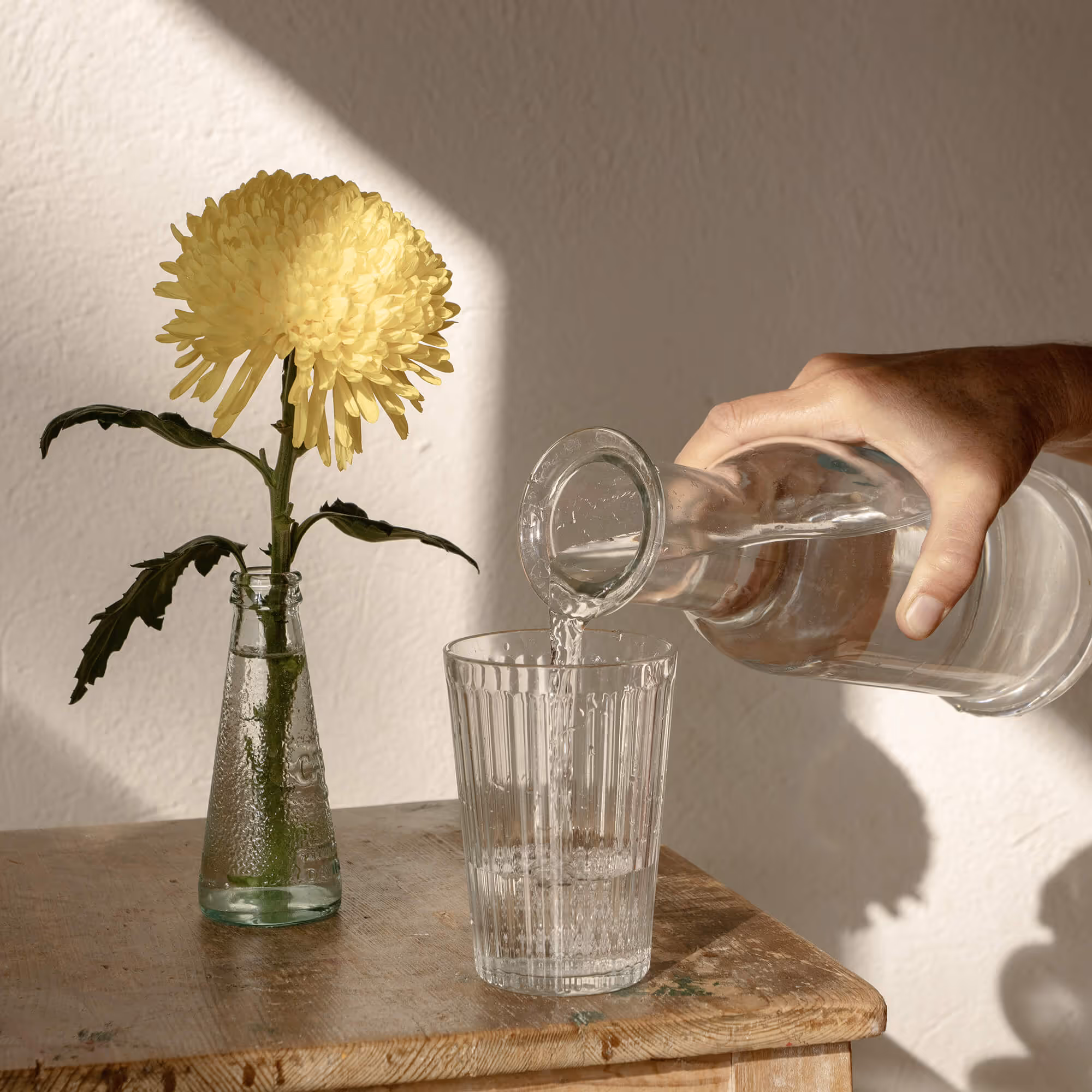 Eine Blume steht auf dem Tisch. Daneben wird ein Wasserglas mit Wasser gefüllt. 
